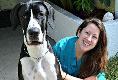 bigdog Veterinary Employment Opportunities: Technician Poses With Dog
