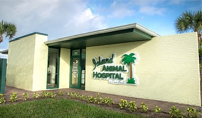 Animal Hospital in Brevard County, FL
