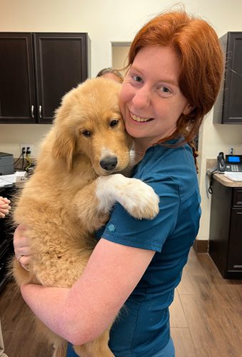 staff-member-holding-golden-retriever-puppy