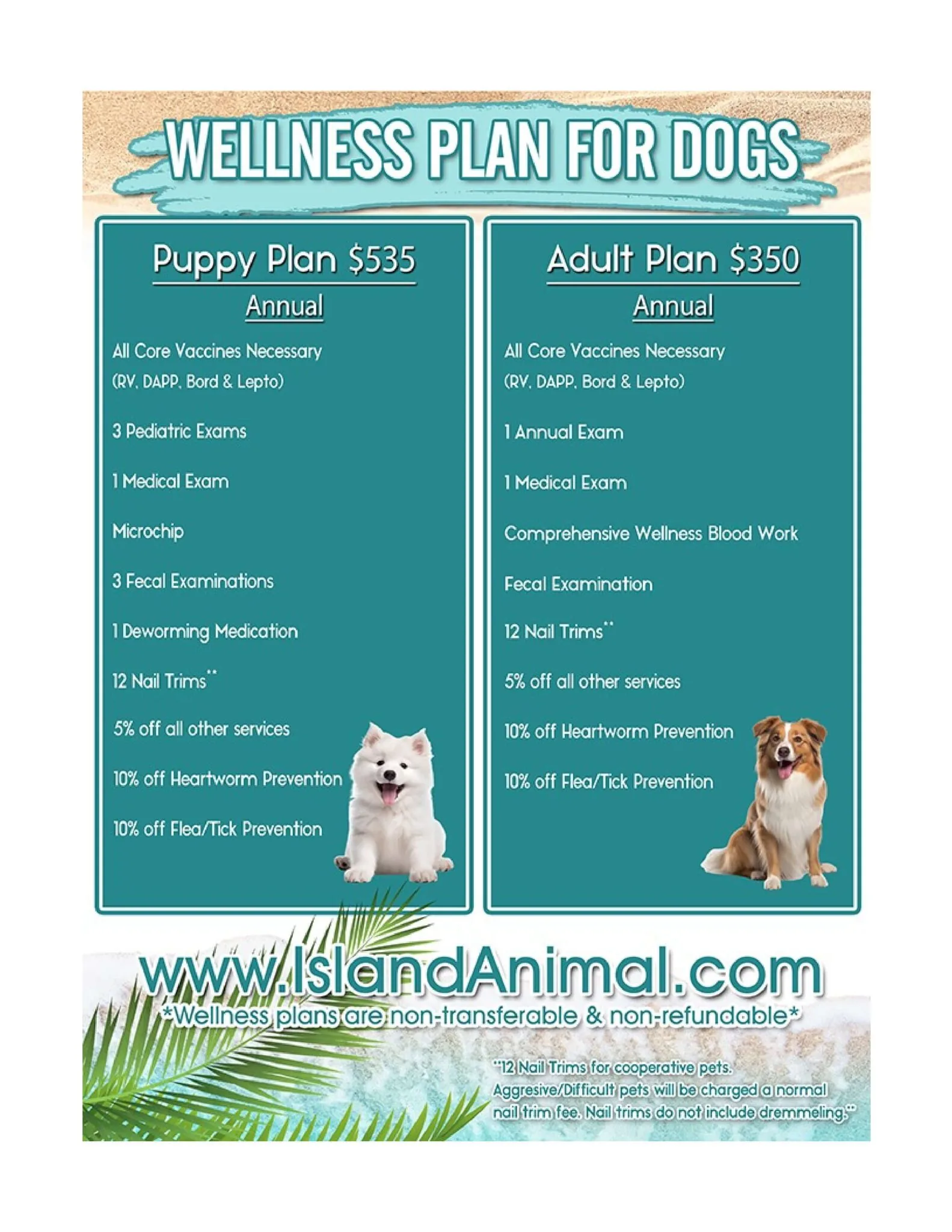 Canine Wellness Plans