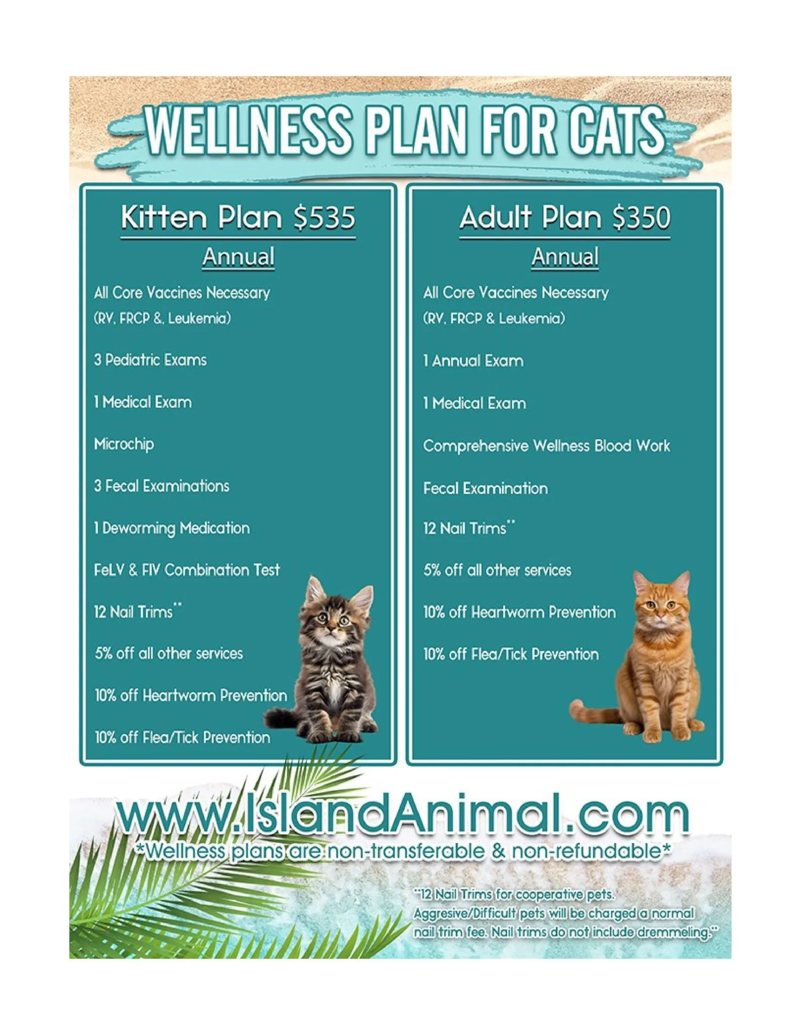 Feline Wellness Plans