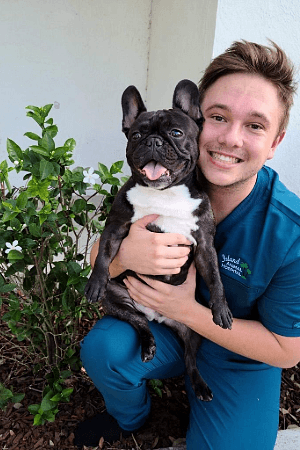 male with teal scrubs kneeling down holding a french bulldog