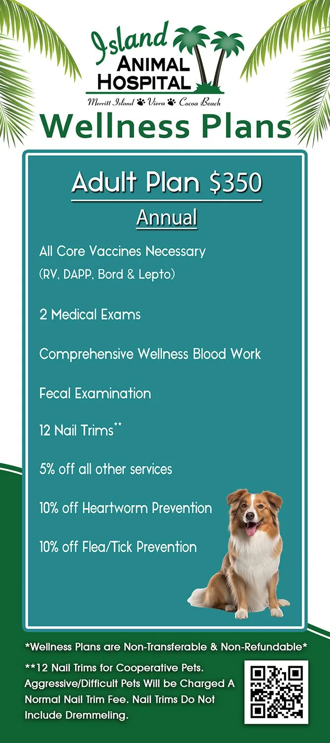 Infographic for adult canine wellness plan