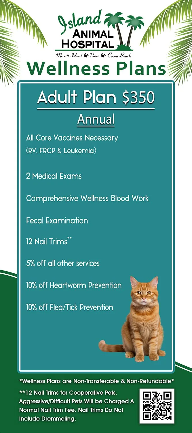 Infographic with adult feline wellness plan details
