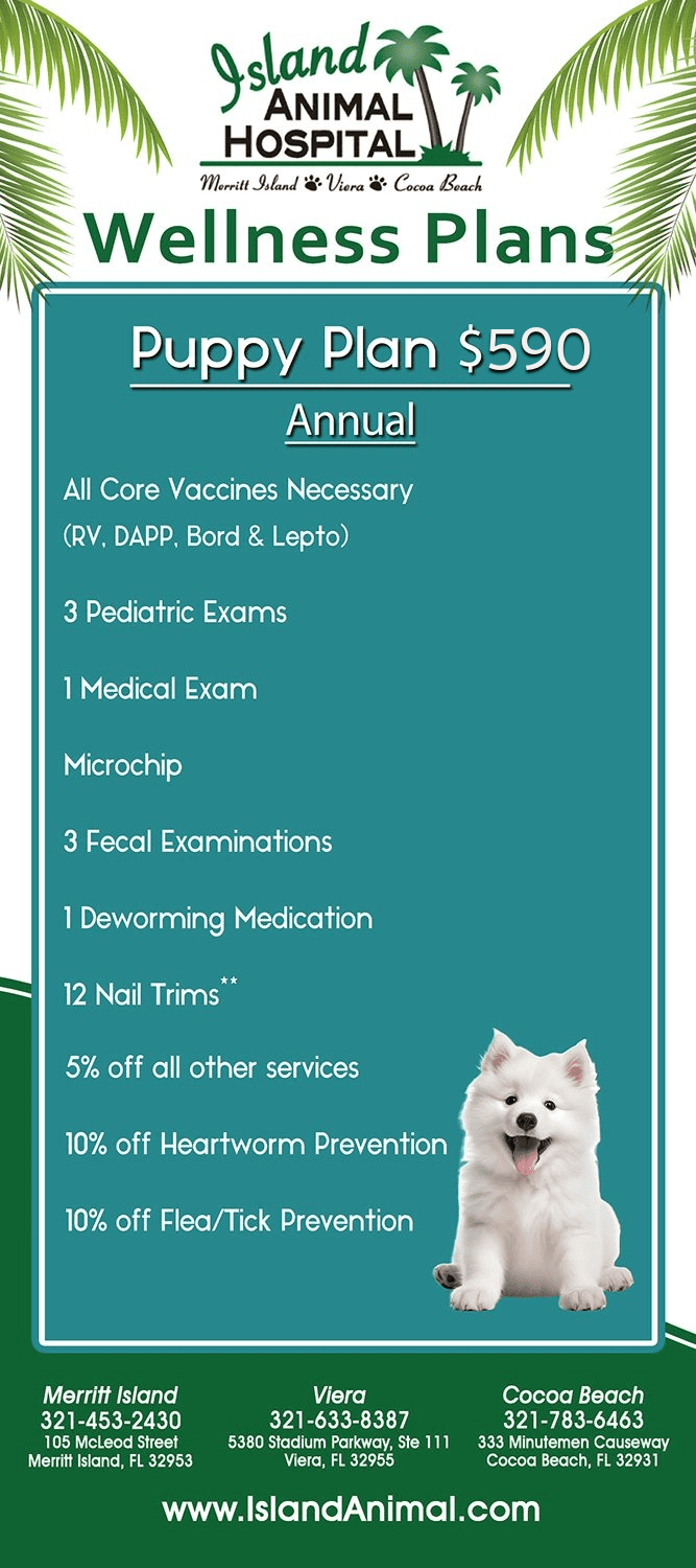 Infographic with Puppy wellness plan details - $590
