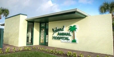 Animal Hospital in Brevard County, FL