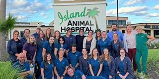Island Animal Hospital Viera team members smiling and posing outdoors in front of sign with logo